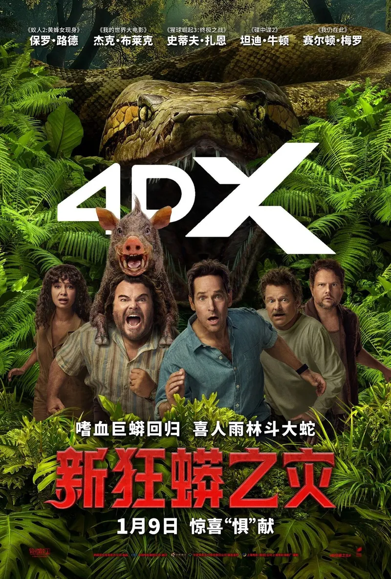 中国大陆 4DX 海报