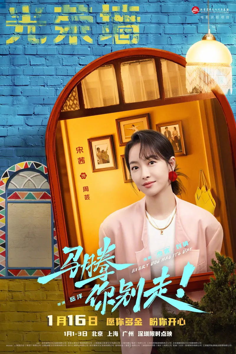 中国大陆 片方海报