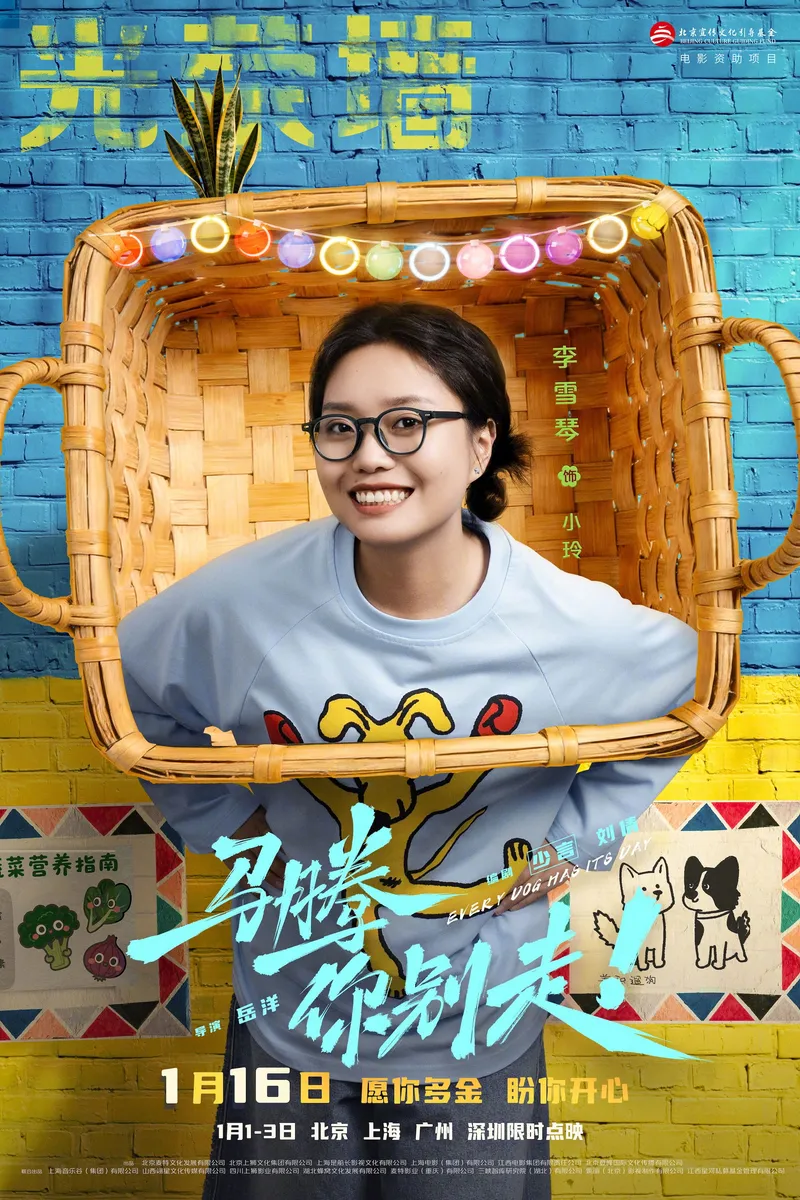 中国大陆 片方海报