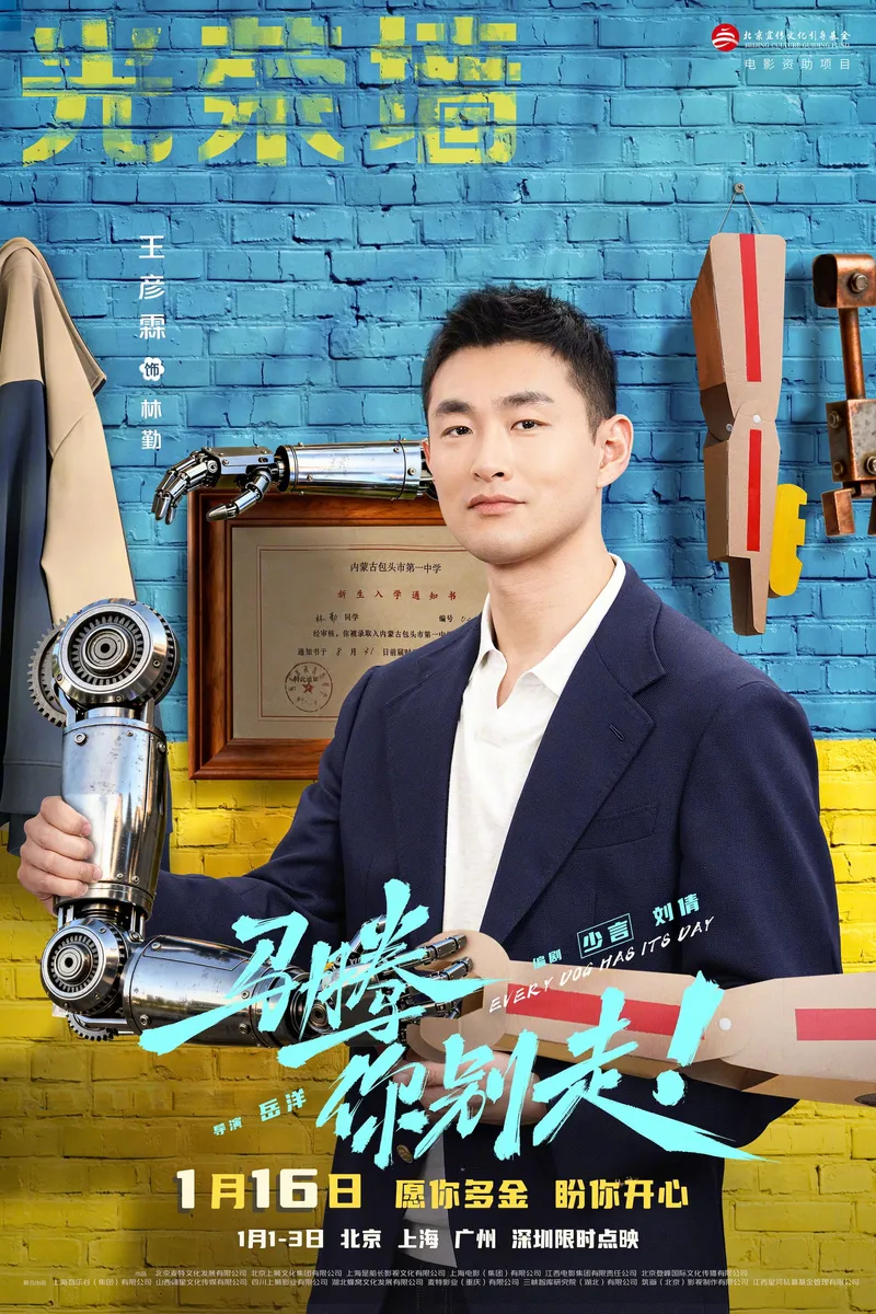 中国大陆 片方海报