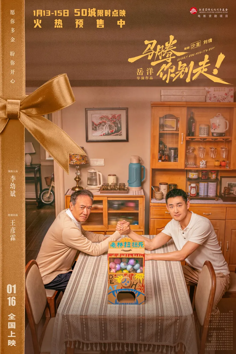 中国大陆 片方海报