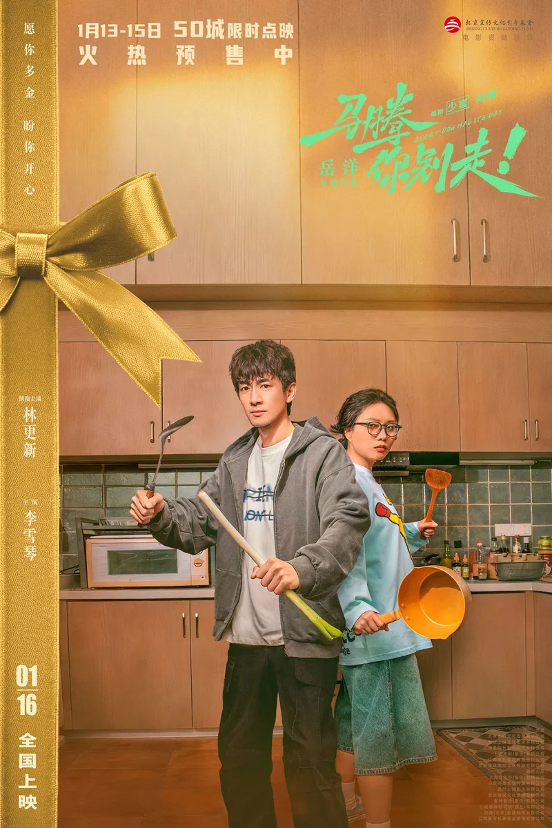 中国大陆 片方海报