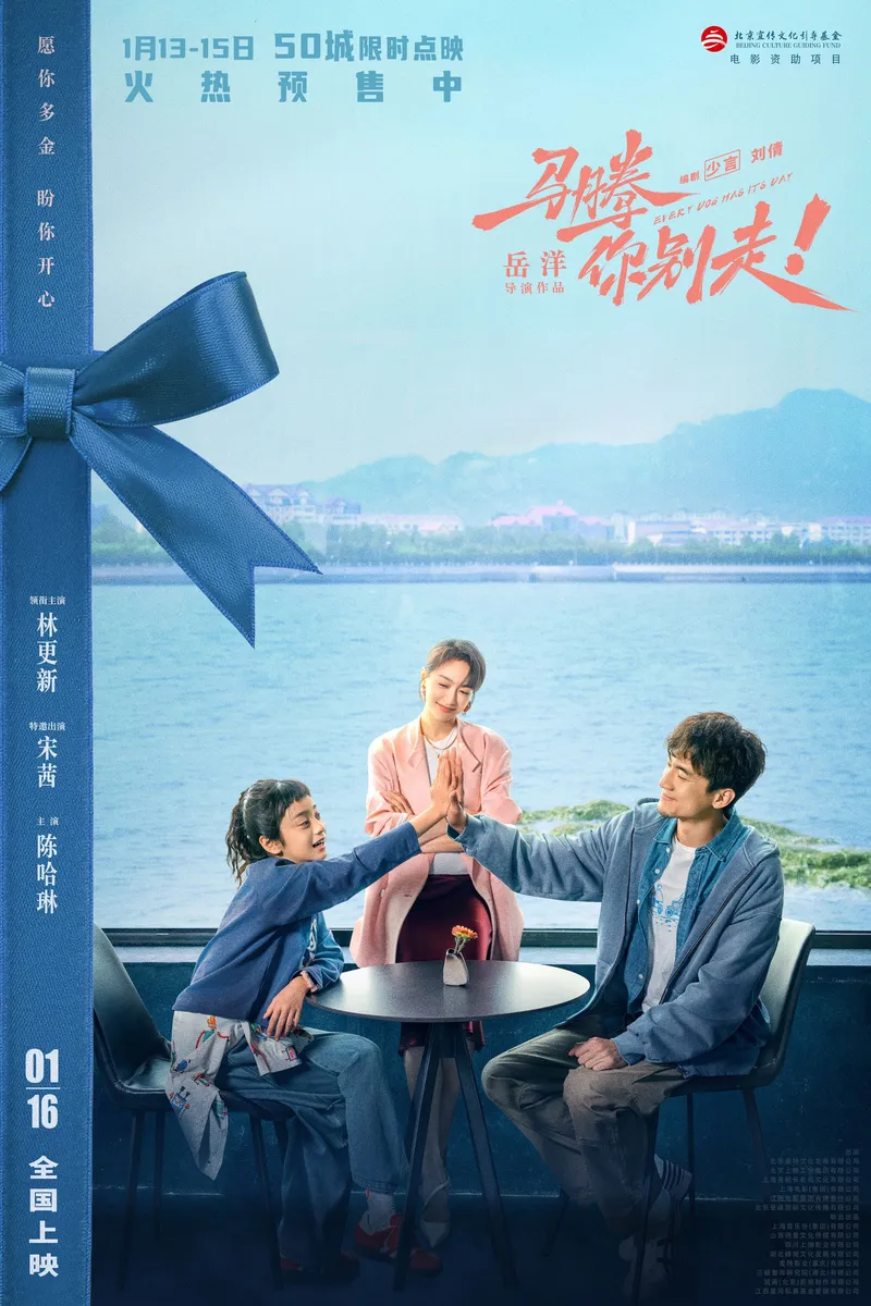 中国大陆 片方海报