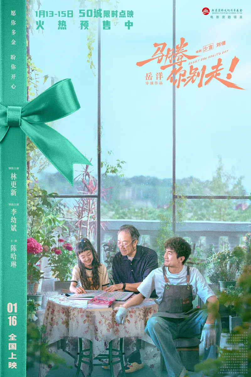 中国大陆 片方海报