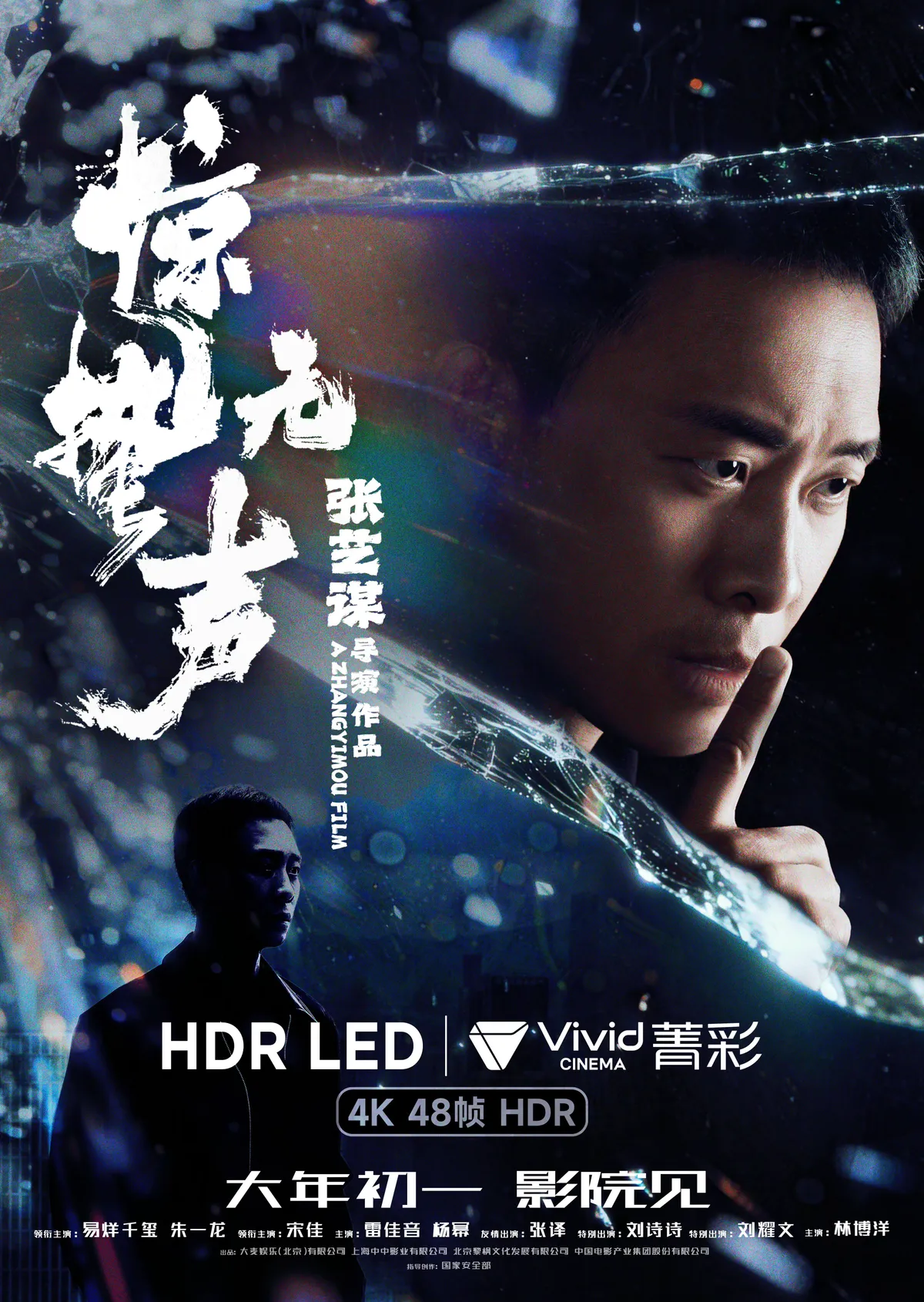 中国大陆 Vivid 海报
