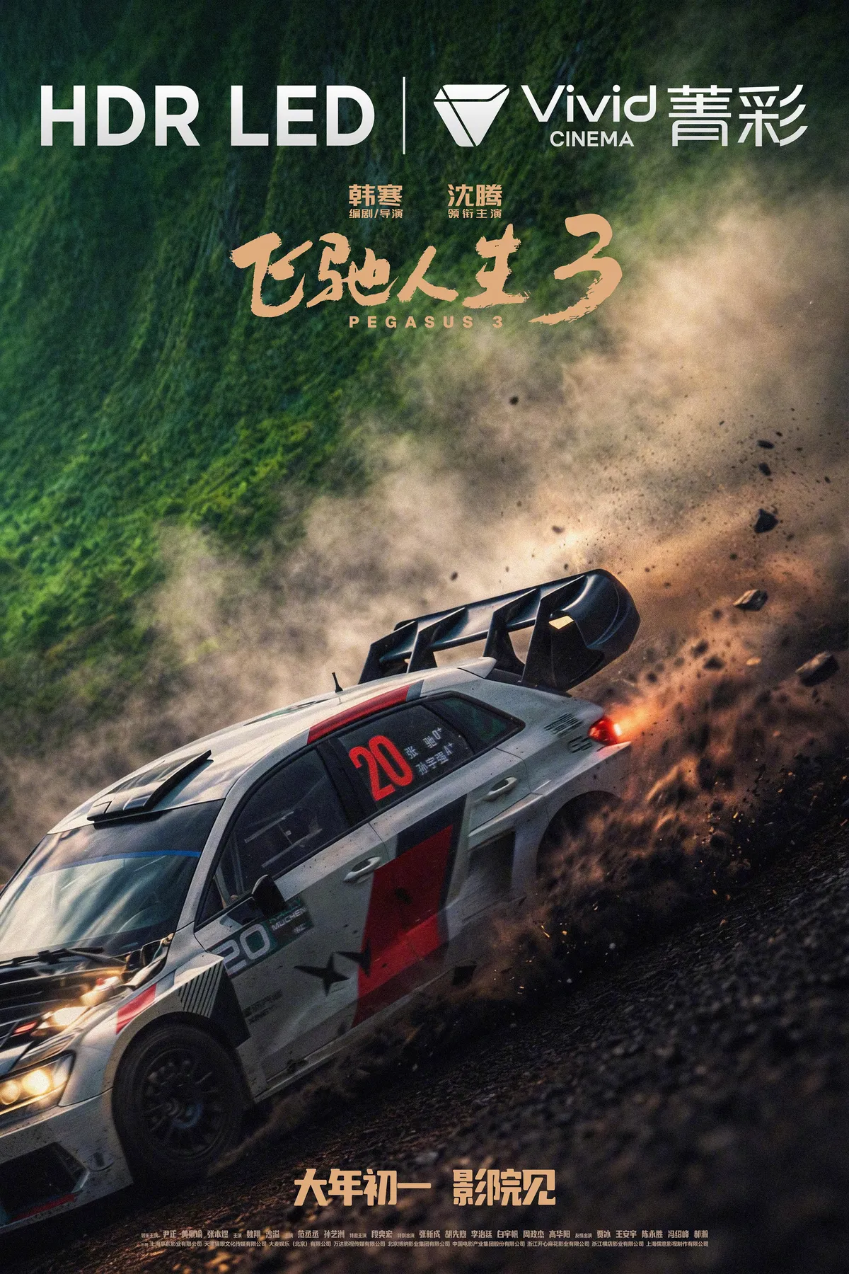 中国大陆 Vivid 海报