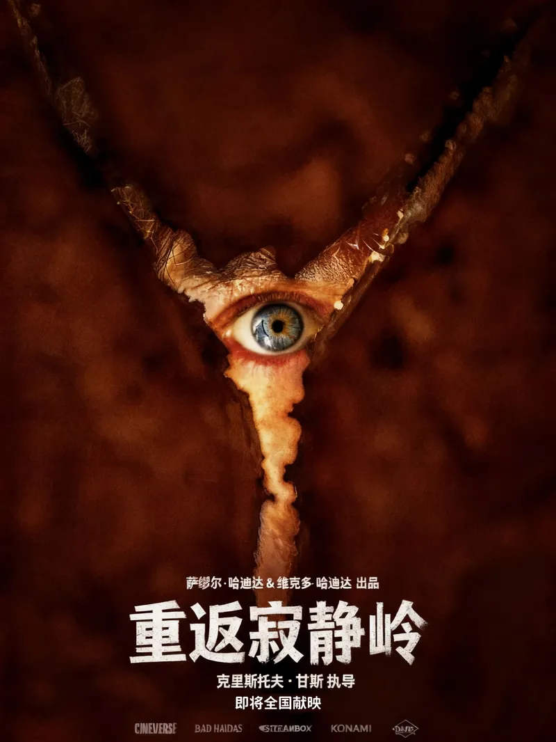 中国大陆 片方海报