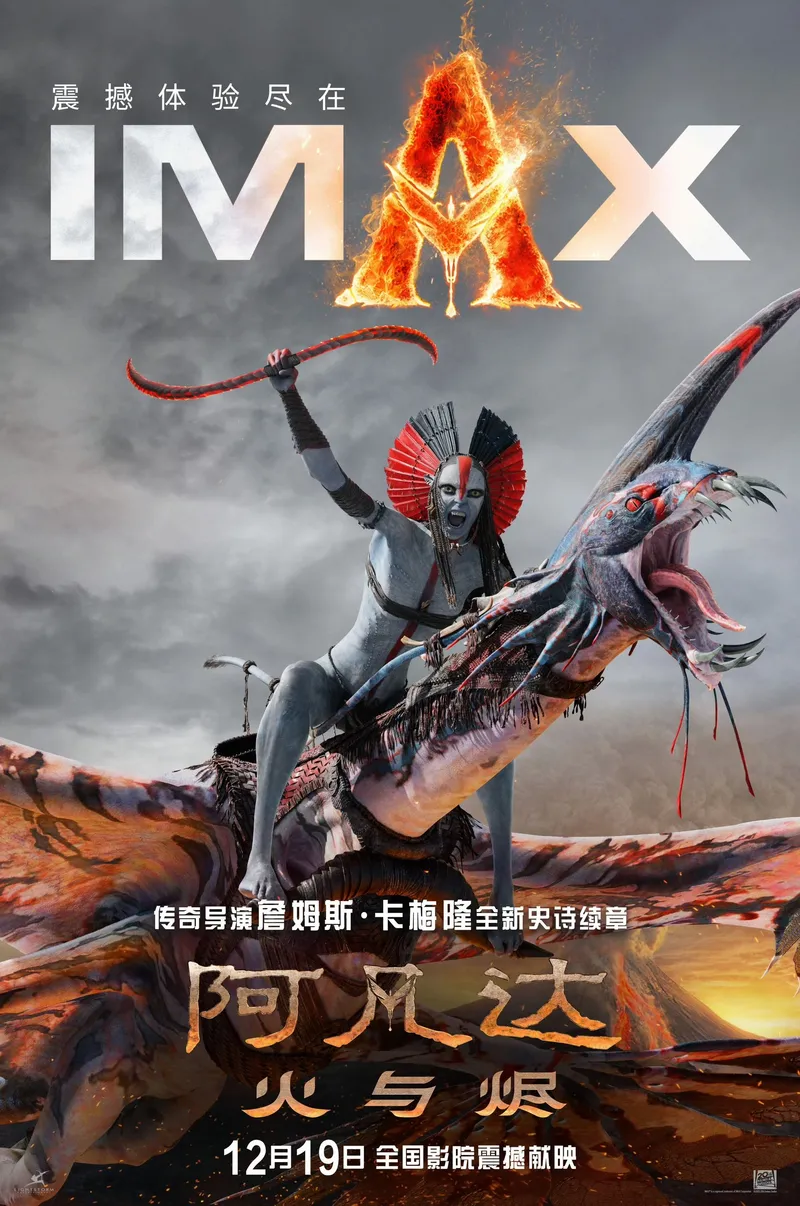 中国大陆 IMAX CGV报团 工艺海报